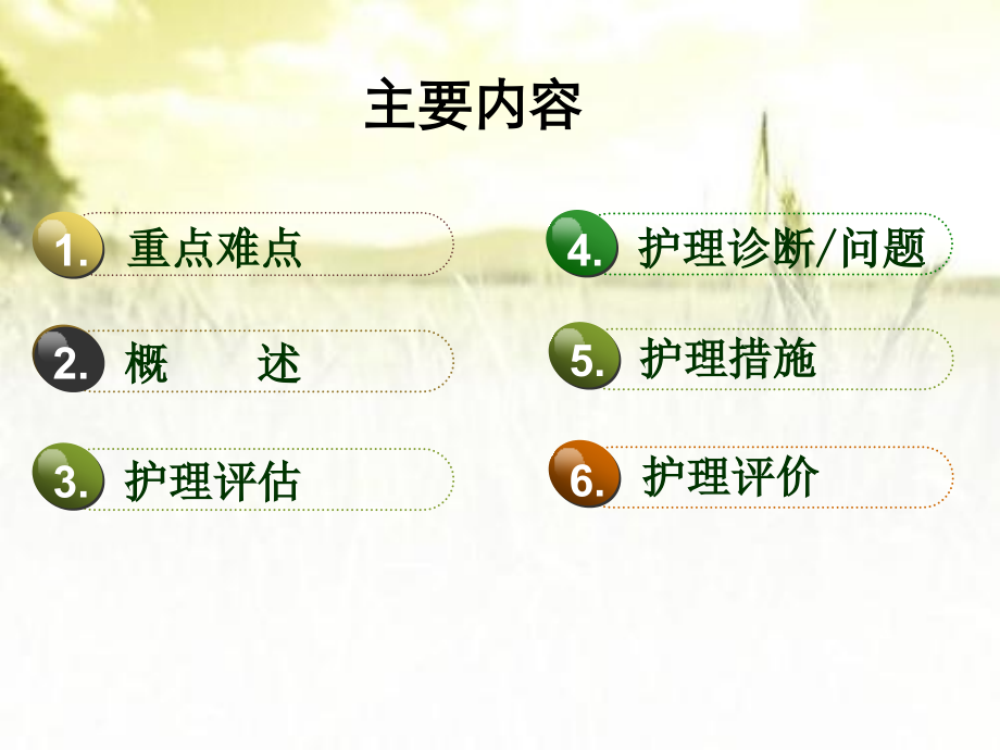 心律失常病人的护理-PPT.ppt_第2页