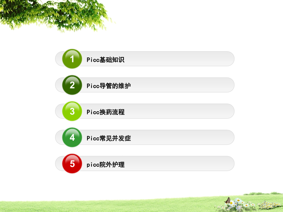 picc维护与并发症ppt课件.ppt_第2页