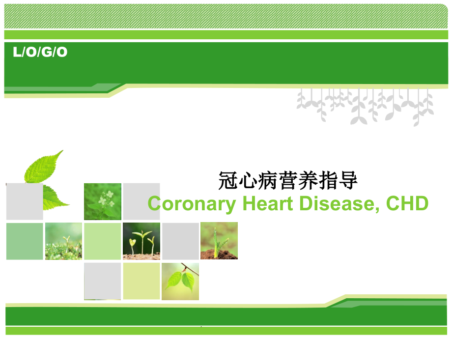 冠心病患者的饮食指导PPT课件.pptx_第1页
