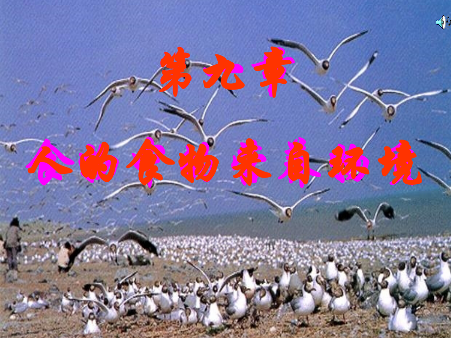 (苏教版)人体需要的主要营养物质.ppt_第1页