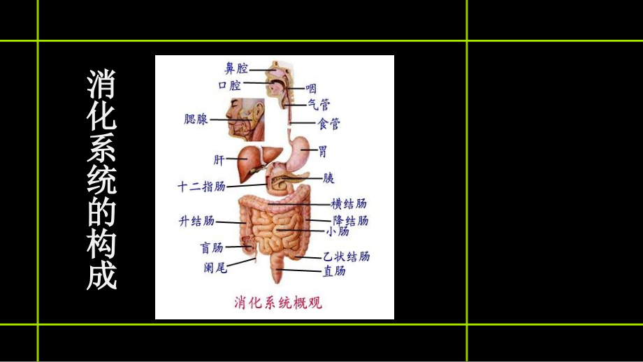 一例溃疡性结肠炎患者的用药分析.ppt_第2页