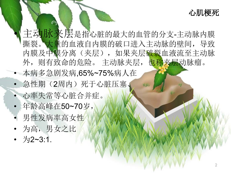 主动脉夹层的护理常规ppt课件.ppt_第2页