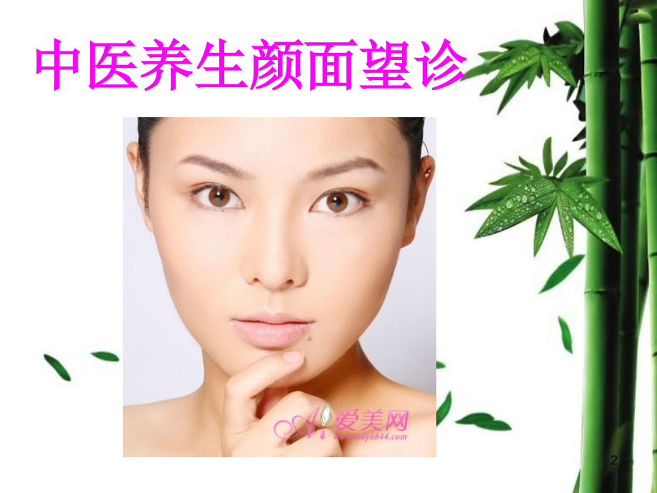 中医养生知识培训.pptx_第2页