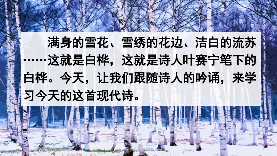 部编版四年级语文下《白桦》课件.pptx_第1页