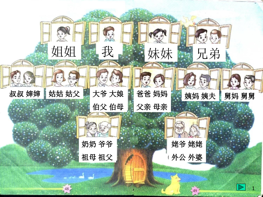 一年级语文我家的亲属.ppt_第1页
