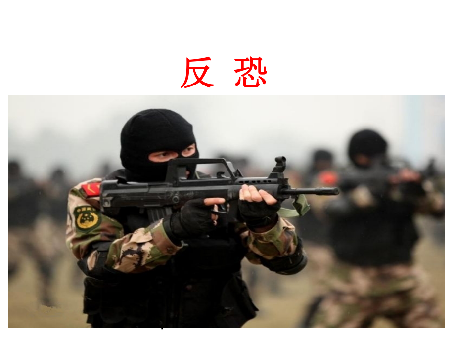 企业反恐培训完整.ppt_第1页