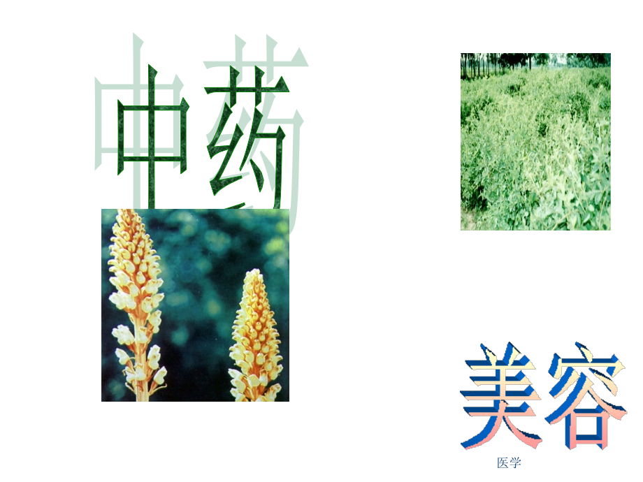 女性中医美容课件.ppt_第1页