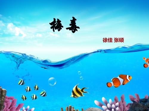 梅毒相关知识PPT课件.ppt