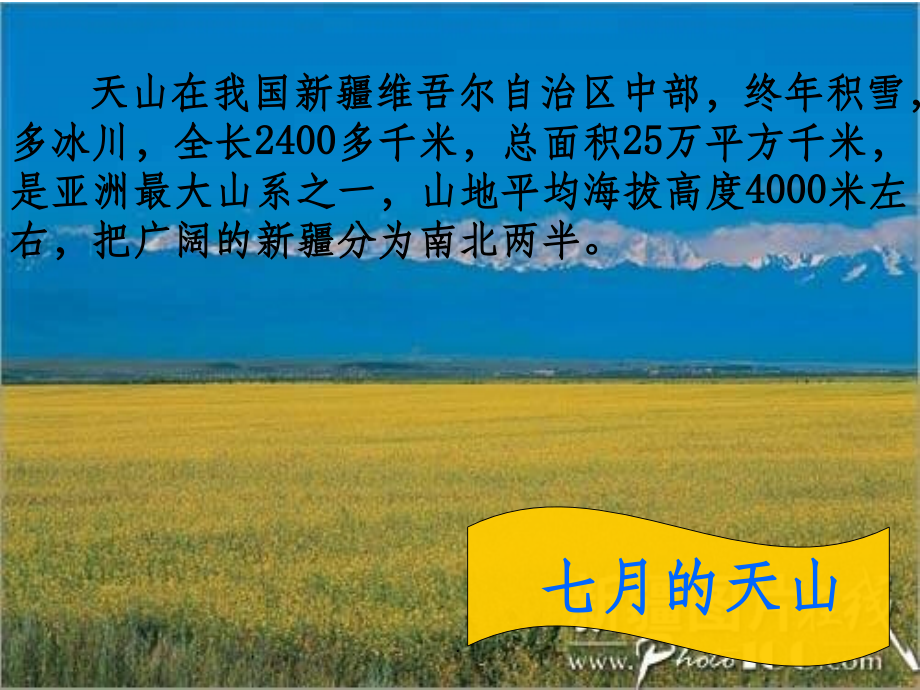 七月的天山-.ppt_第2页