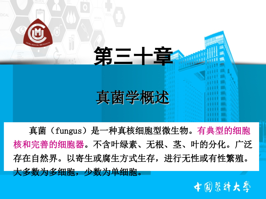 中国医科大学真菌.ppt_第1页
