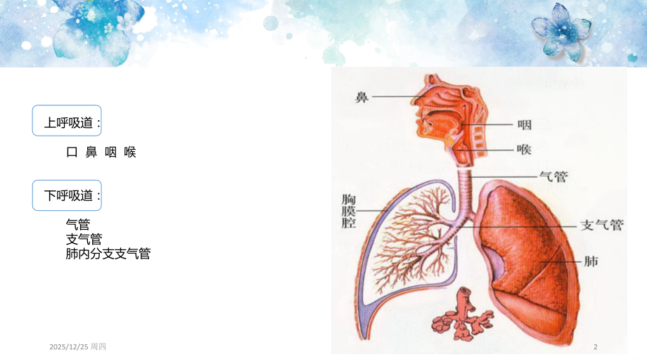 困难气道PPT课件.ppt_第2页