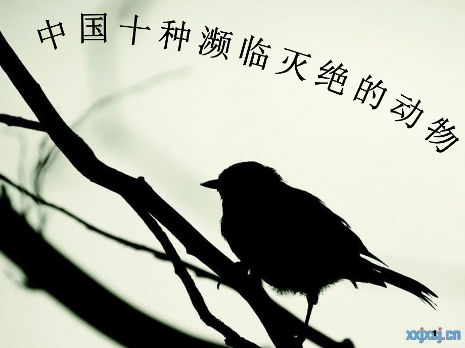 中国十种濒临灭绝的动物.ppt_第1页