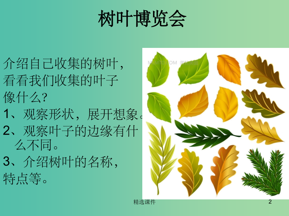 二年级品生上册《秋游回味》1-苏教版.ppt_第2页