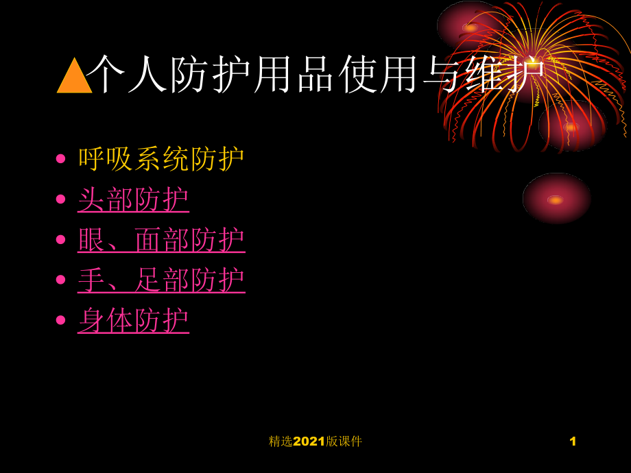 个人防护用品使用与维护.ppt_第1页