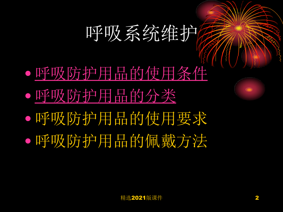 个人防护用品使用与维护.ppt_第2页