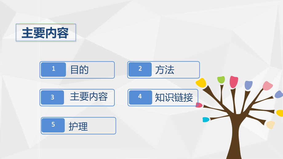 人工髋关节置换术后预防下肢深静脉血栓形成的护理查房ppt.ppt_第2页