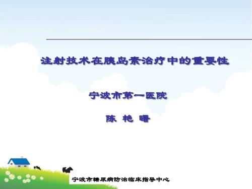 社区医生胰岛素注射案例分享.ppt