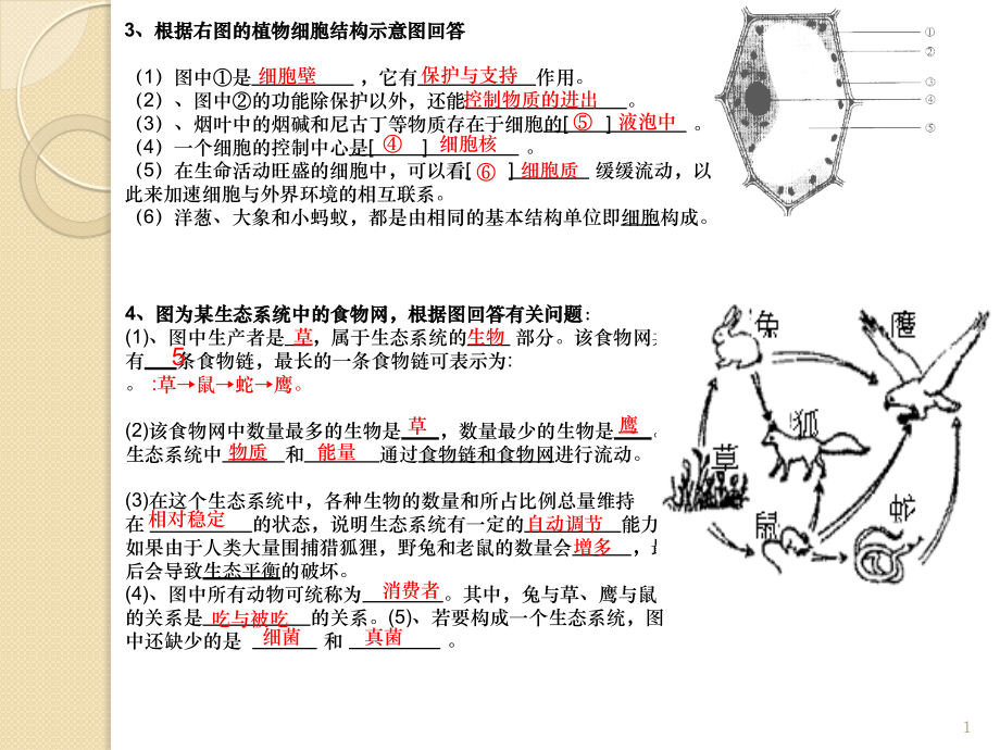 七年级生物上册复习识图题.pptx_第1页
