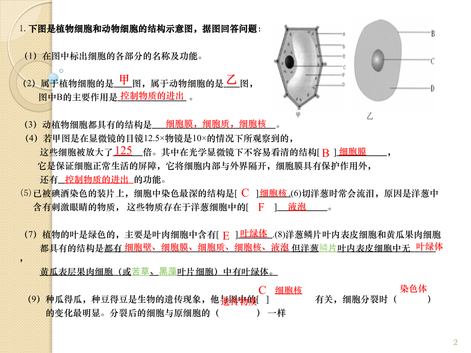 七年级生物上册复习识图题.pptx_第2页
