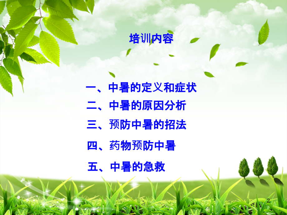 中暑的预防与急救PPT课件.ppt_第2页