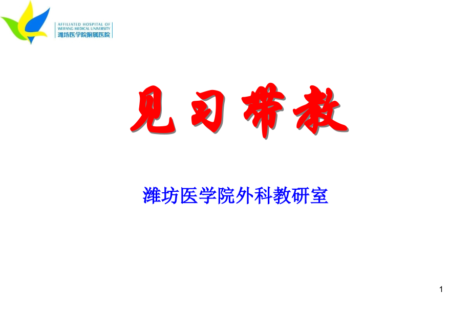 见习带教PPT课件.ppt_第1页