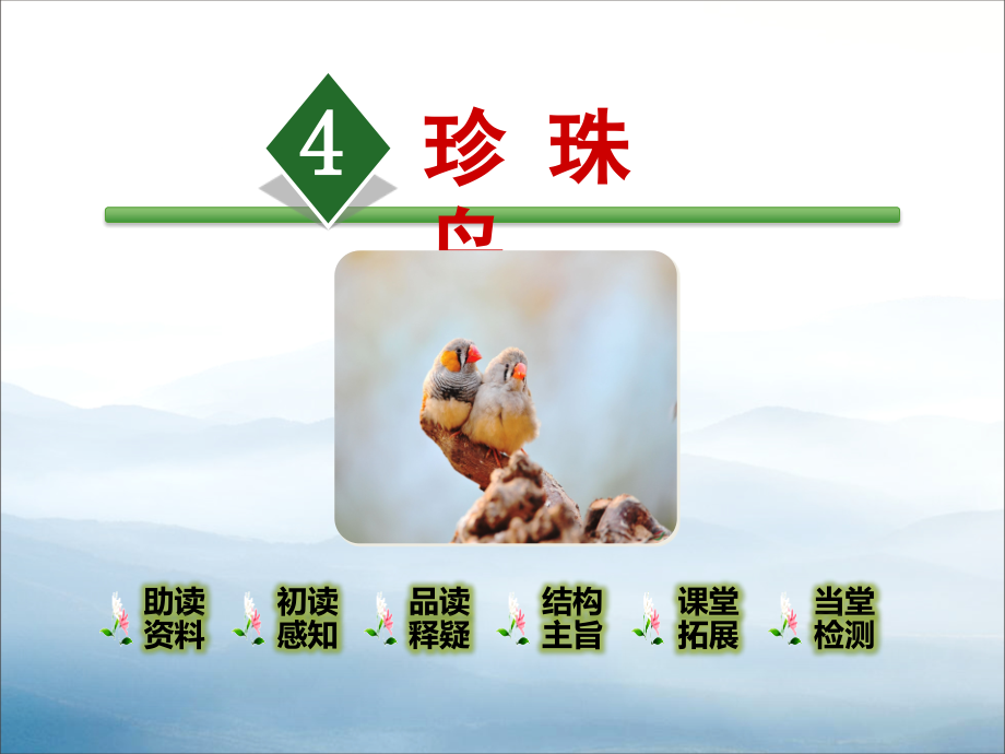 《珍珠鸟》PPT【优秀课件PPT】.pptx_第1页