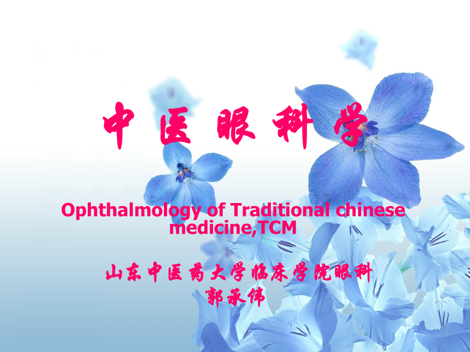中医眼科学ppt.ppt_第1页