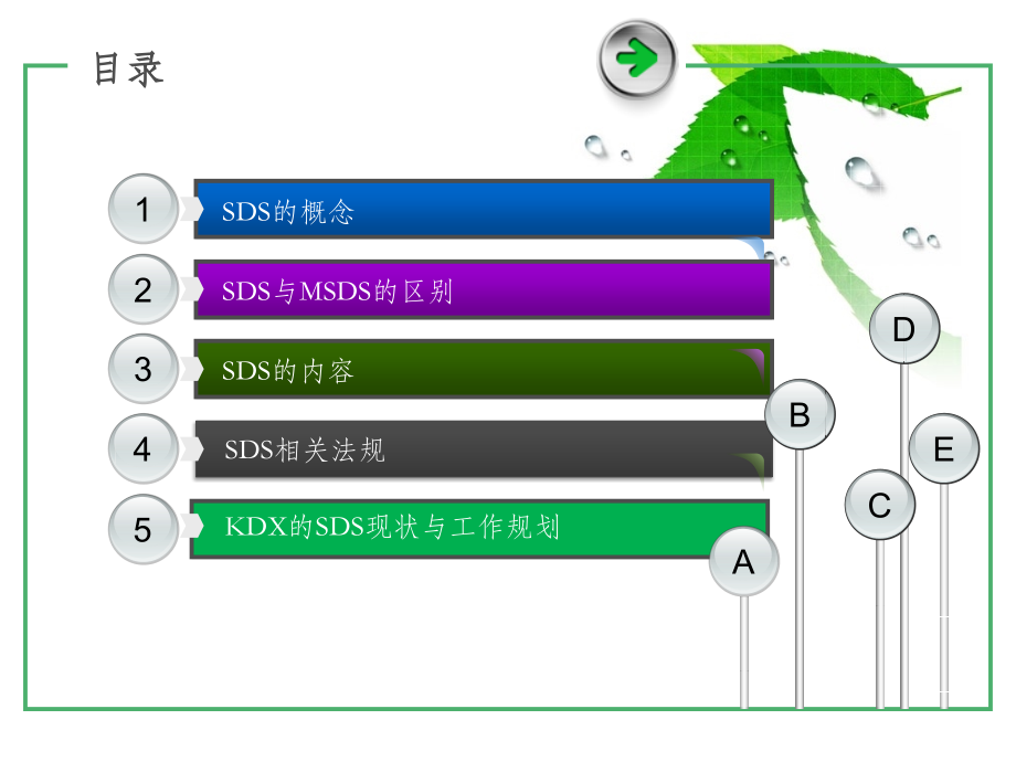 化学品安全技术说明书SDS.pptx_第2页
