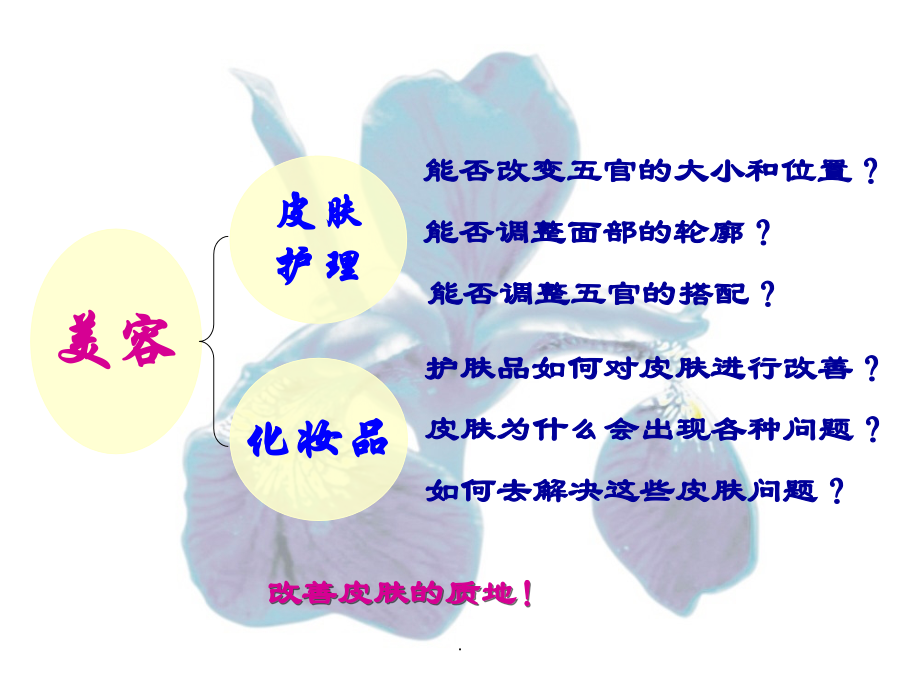 皮肤美容专业知识培训.ppt_第2页