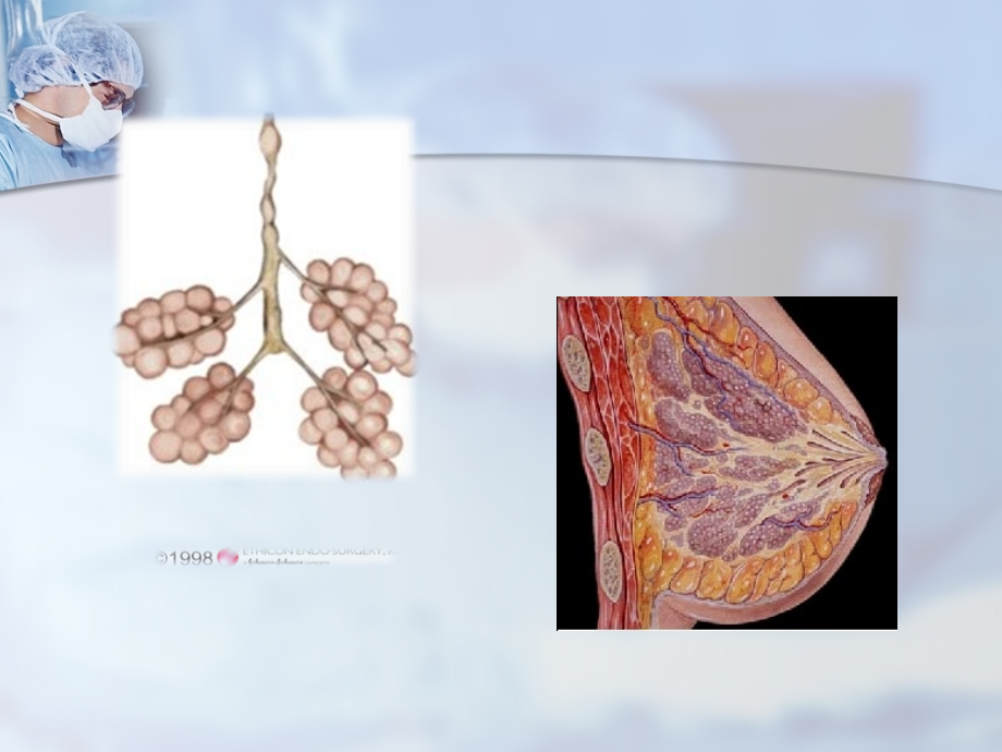 乳腺门诊.ppt_第2页