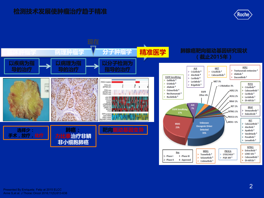 从临床研究到临床实践晚期NSCLC一线方案选择.ppt_第2页