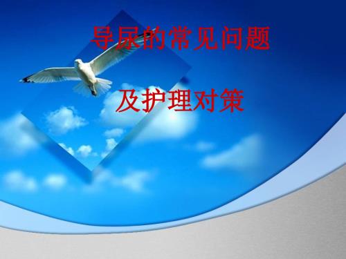 导尿常见问题及护理对策.ppt