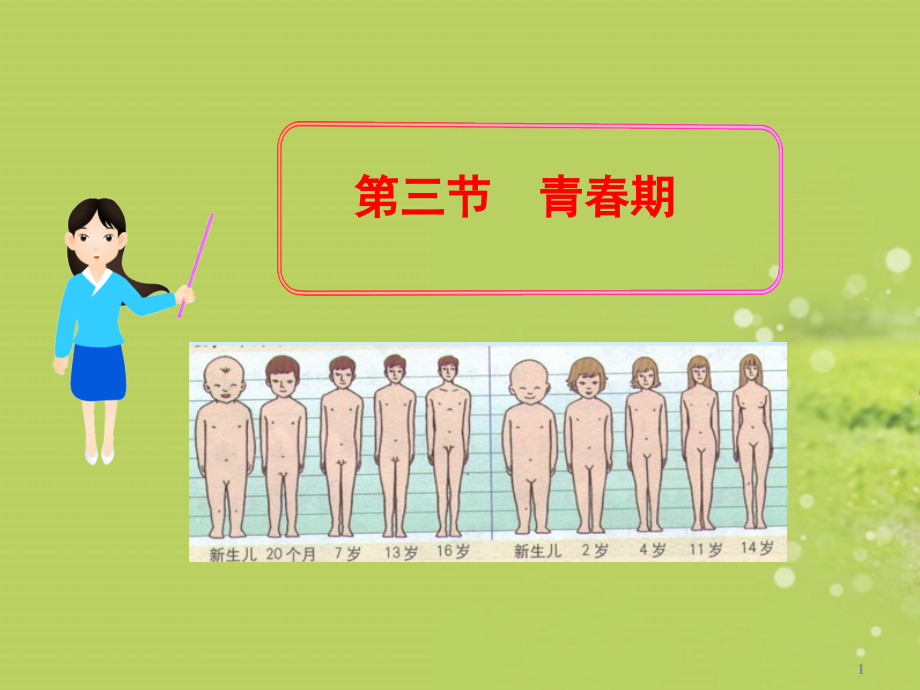 七年级生物下册青春期.ppt_第1页