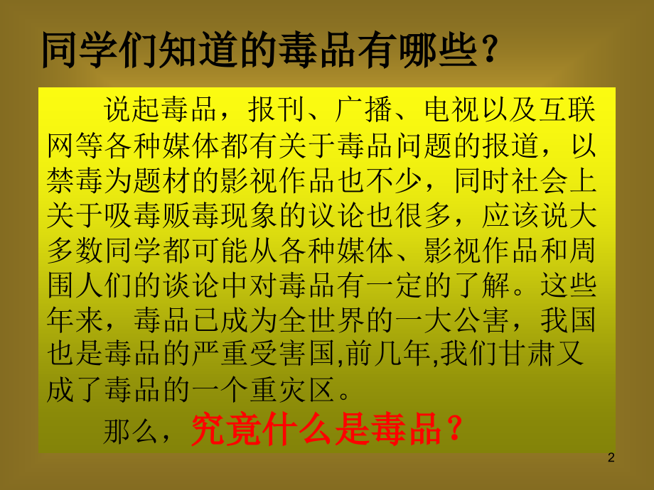 中小学生禁毒教育.pptx_第2页