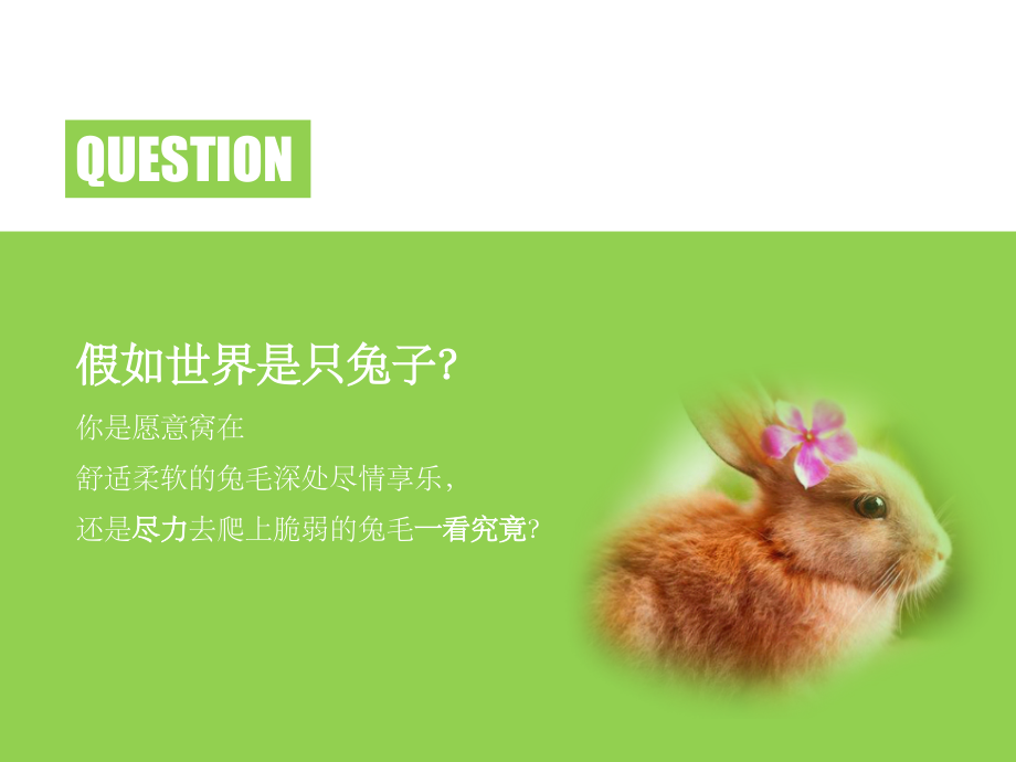 苏菲的世界PPT课件.ppt_第2页