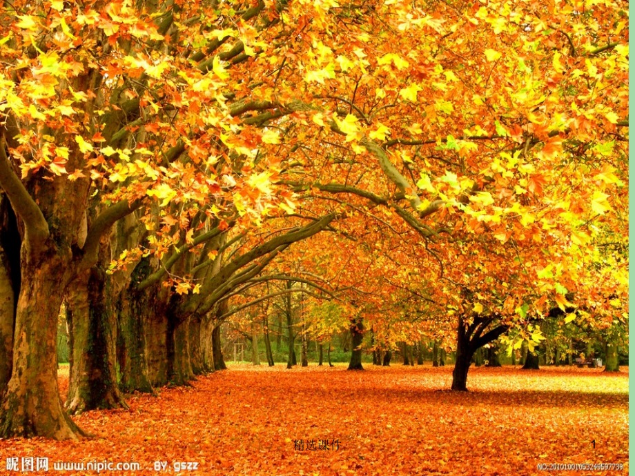 二年级品生上册《秋游回味》3-苏教版.ppt_第1页