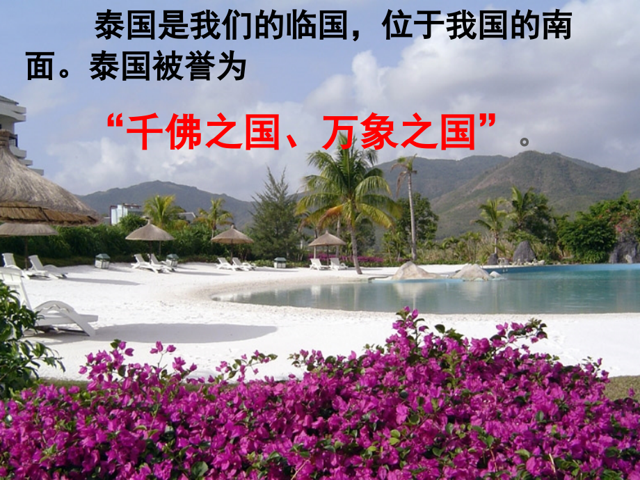 与象共舞公开课.ppt_第1页