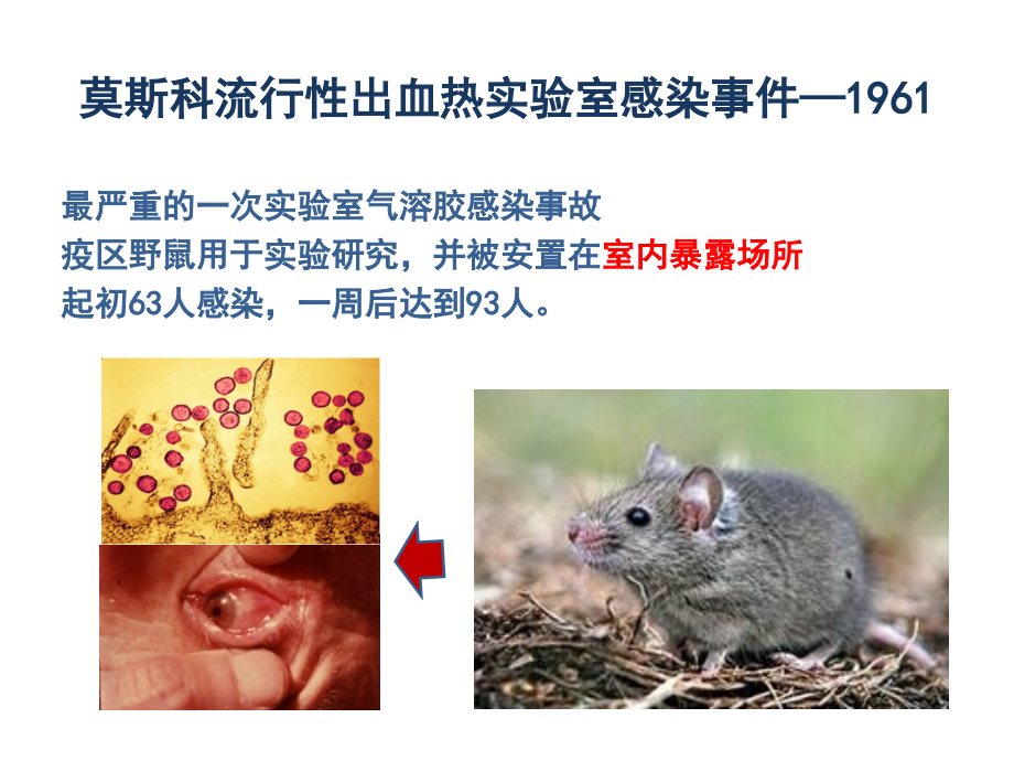 生物安全演讲版优质PPT课件.pptx_第2页