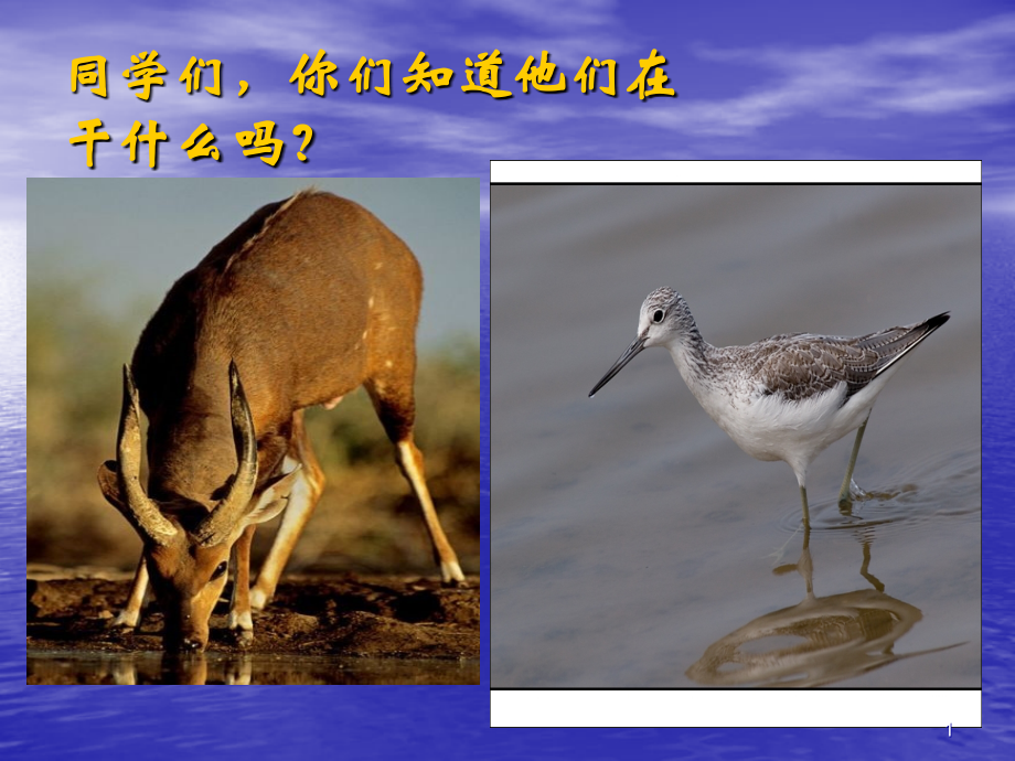 四年级上水资源.ppt_第1页