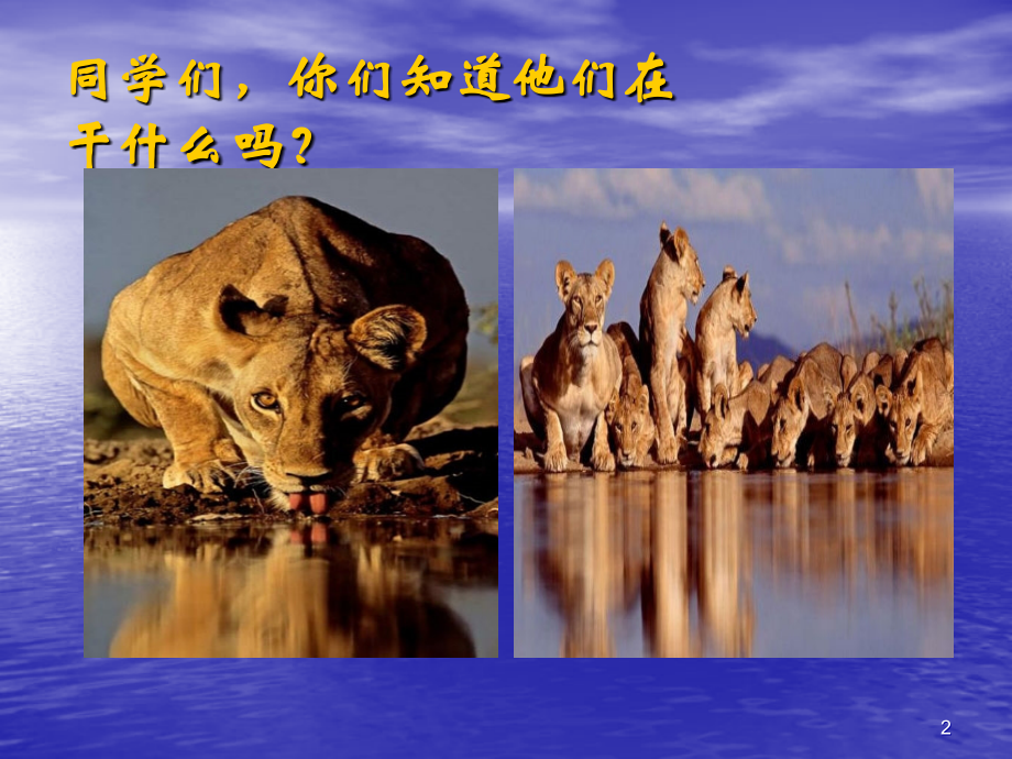 四年级上水资源.ppt_第2页