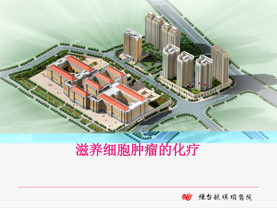 滋养细胞肿瘤化疗.ppt_第1页