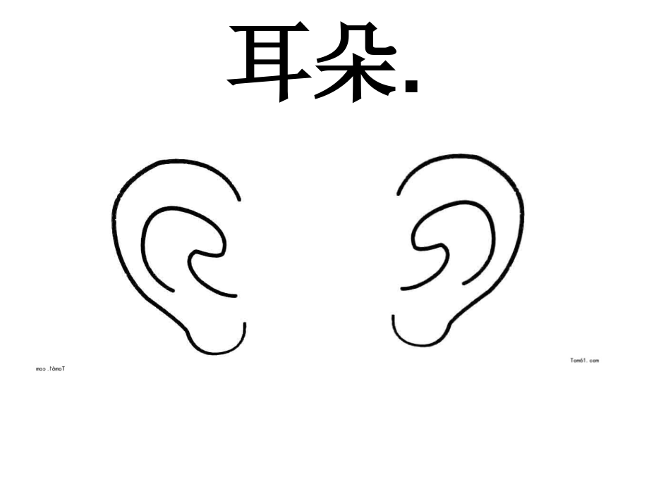 幼儿园小班我的耳朵ppt.ppt_第2页