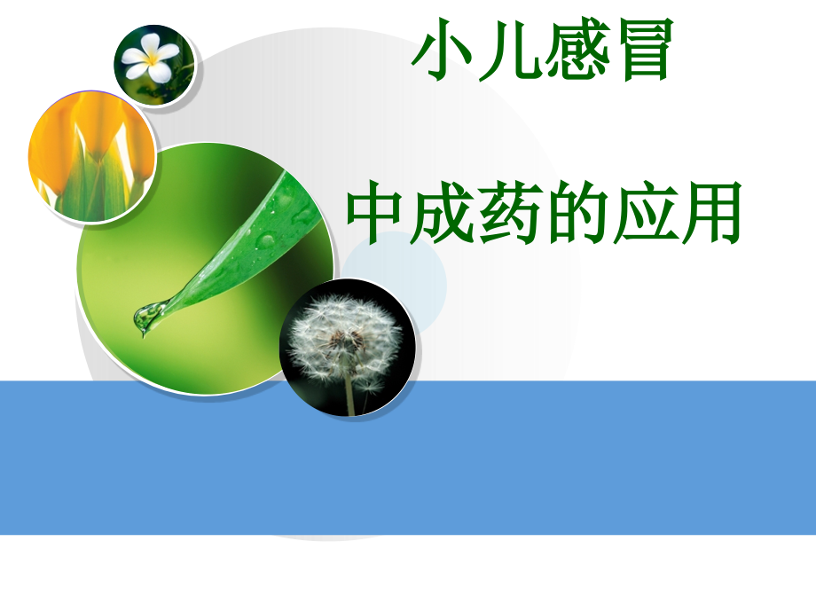 小儿感冒中成药的应用.ppt_第1页