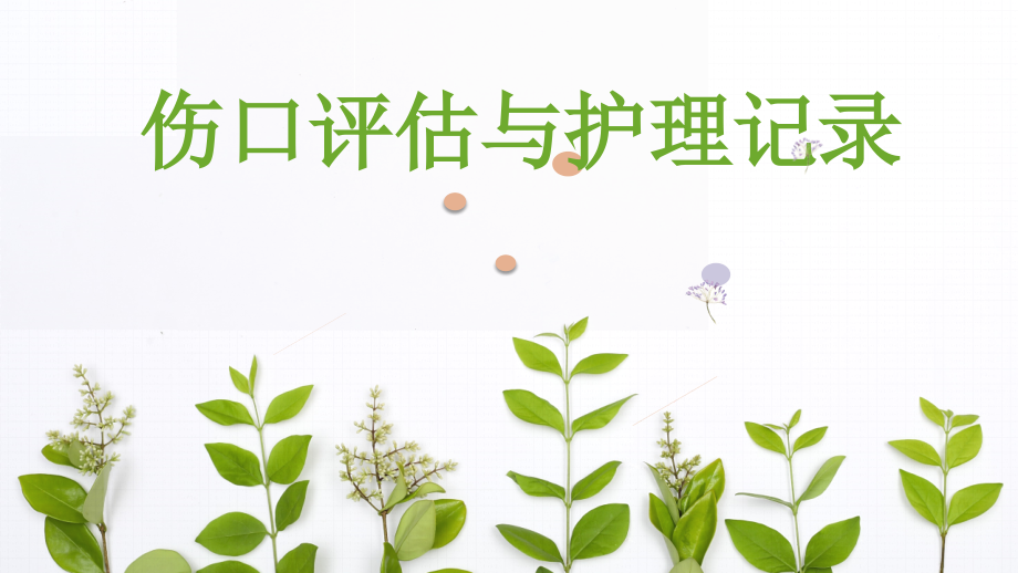 伤口评估与护理记录PPT课件.ppt_第1页