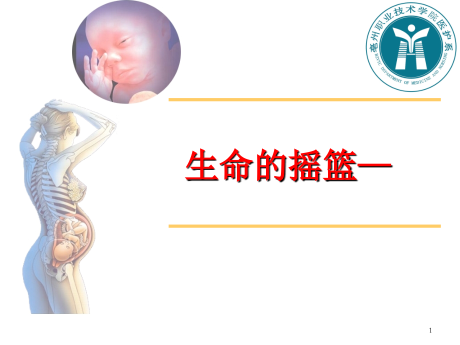 子宫ppt课件.ppt_第1页