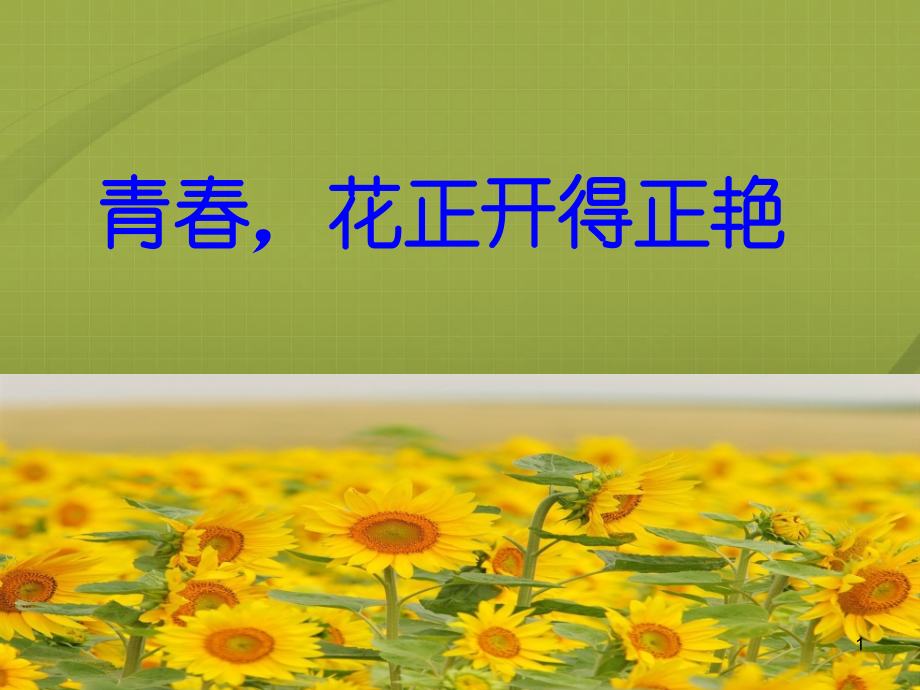 主题班会青春期主题班会ppt课件.ppt_第1页