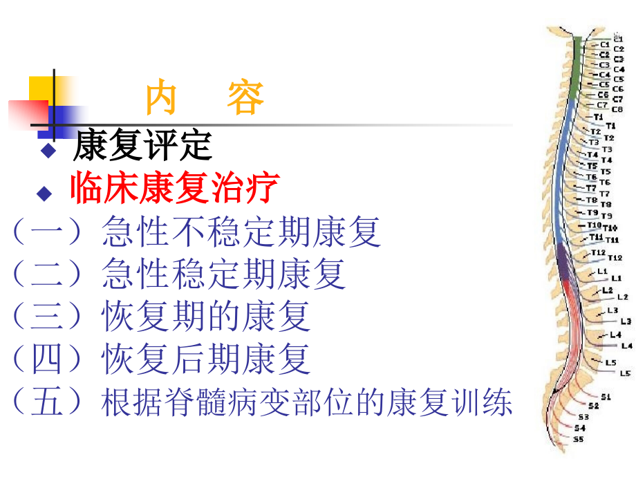 脊髓损伤的康复治疗.ppt_第2页