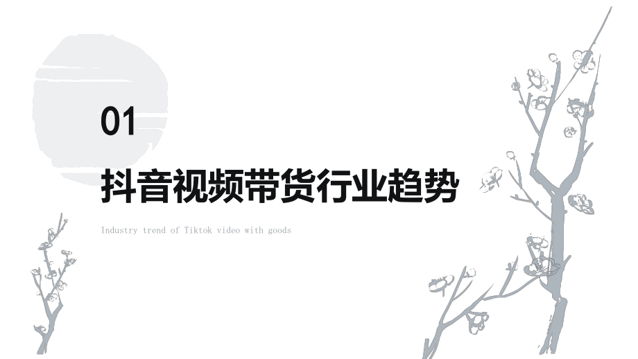 抖音视频带货：行业趋势与营销策略.pptx_第2页