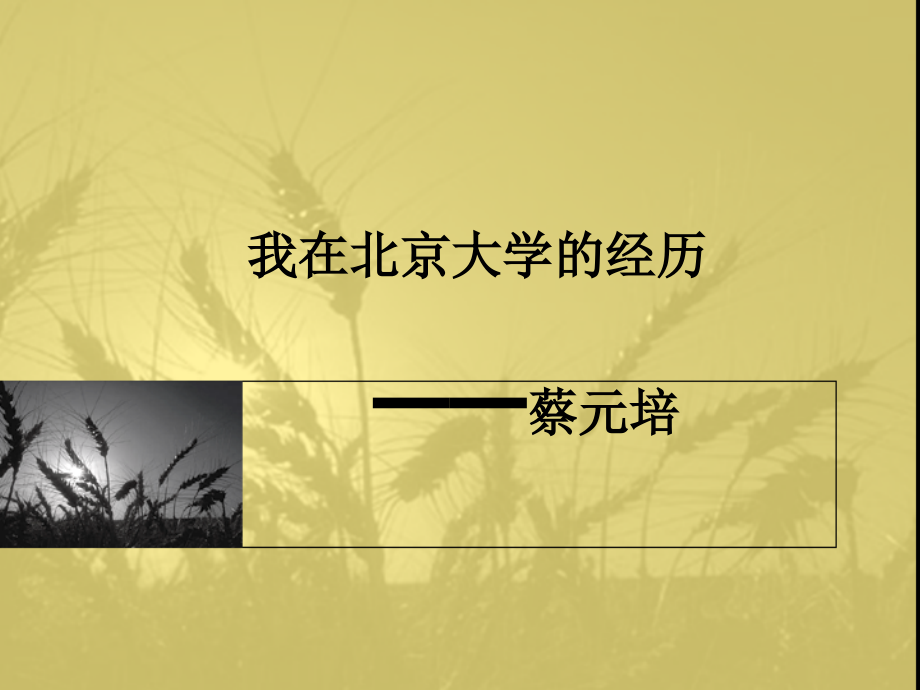 《我在北京大学的经历》课件.ppt_第1页