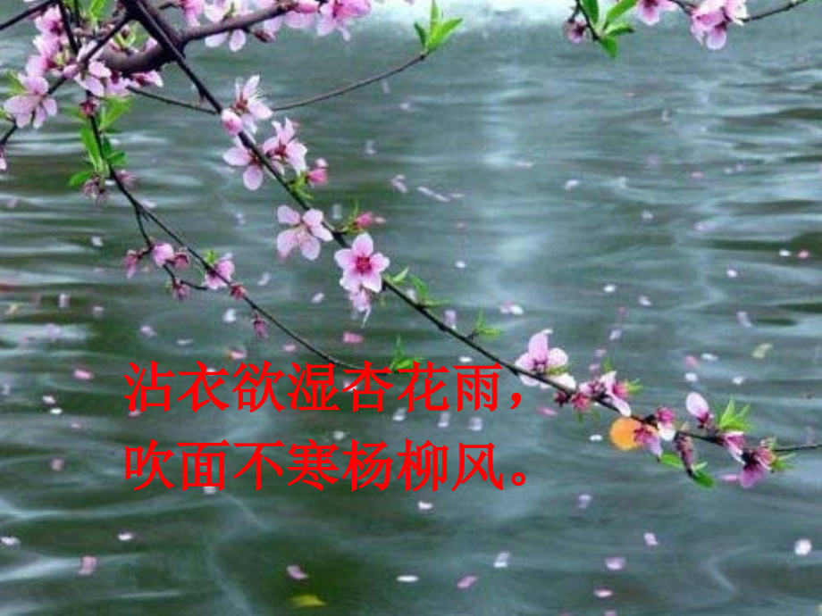 我给春天照张相.ppt_第2页